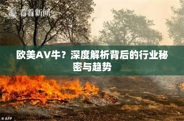 欧美AV牛？深度解析背后的行业秘密与趋势