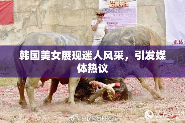 韩国美女展现迷人风采，引发媒体热议