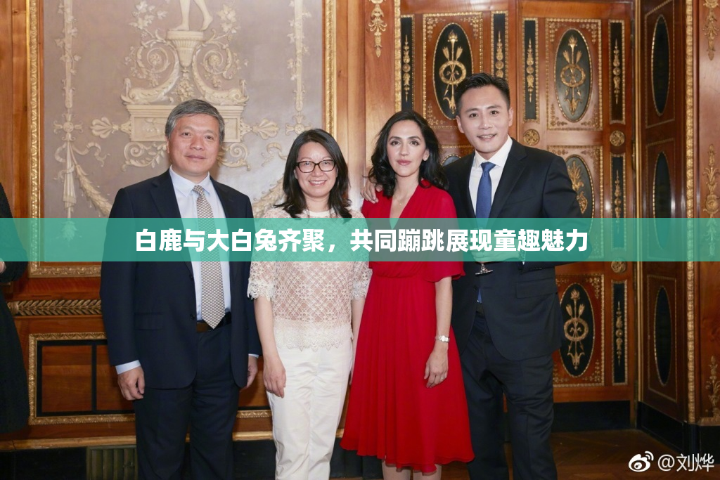 白鹿与大白兔齐聚，共同蹦跳展现童趣魅力