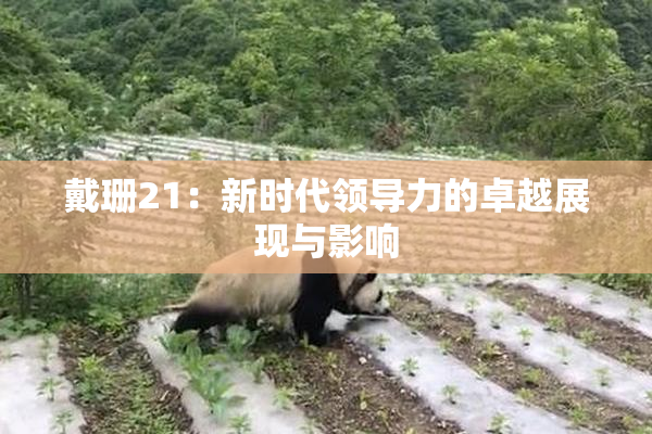 戴珊21：新时代领导力的卓越展现与影响