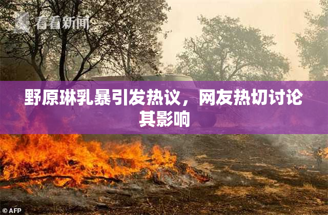 野原琳乳暴引发热议，网友热切讨论其影响