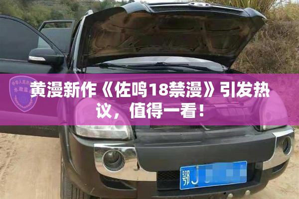 黄漫新作《佐鸣18禁漫》引发热议，值得一看！