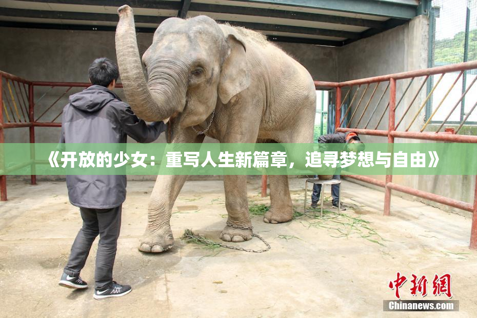 《开放的少女：重写人生新篇章，追寻梦想与自由》