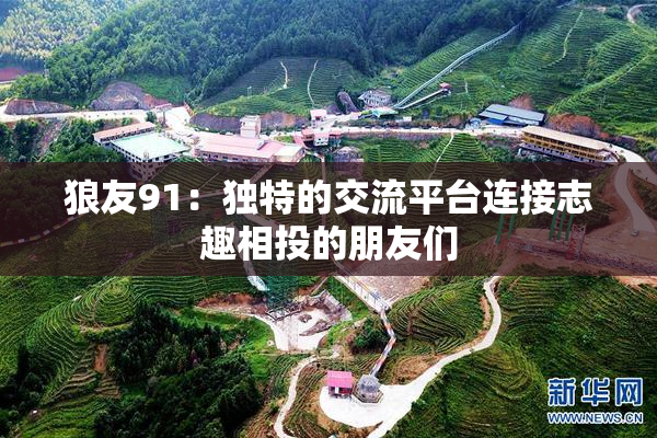 狼友91：独特的交流平台连接志趣相投的朋友们