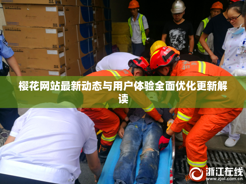 樱花网站最新动态与用户体验全面优化更新解读