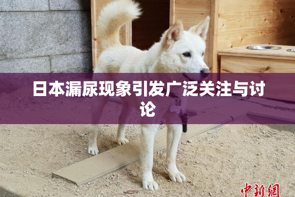 日本漏尿现象引发广泛关注与讨论