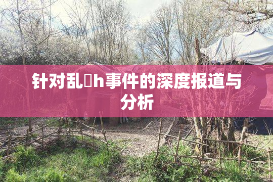 针对乱婬h事件的深度报道与分析