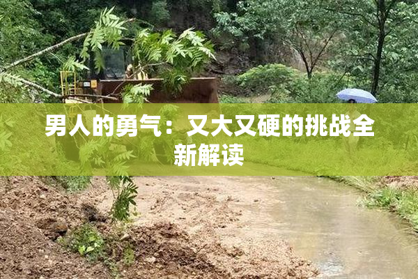 男人的勇气：又大又硬的挑战全新解读