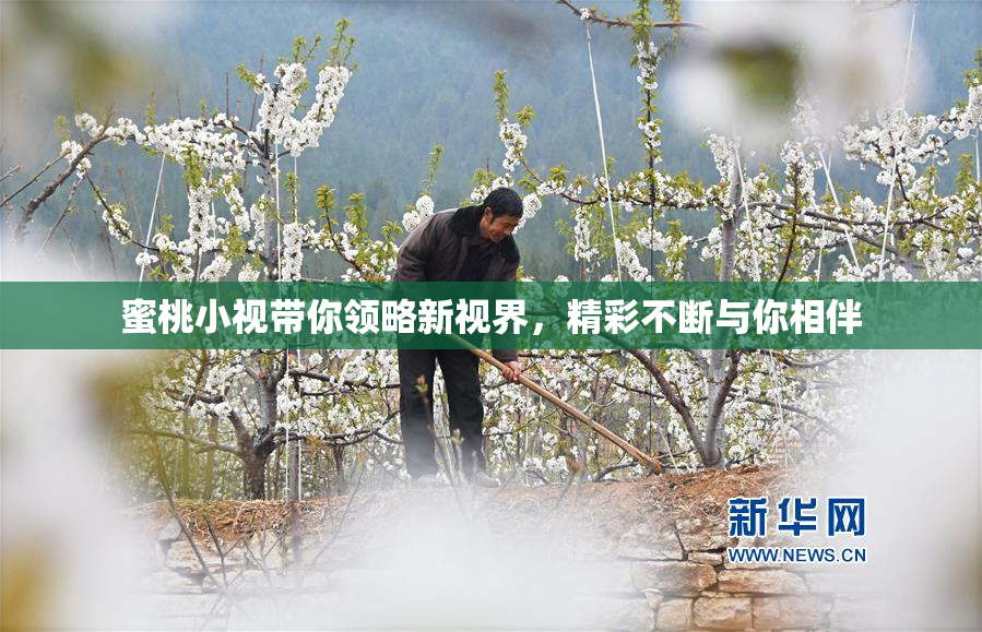 蜜桃小视带你领略新视界，精彩不断与你相伴