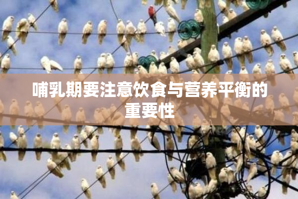 哺乳期要注意饮食与营养平衡的重要性