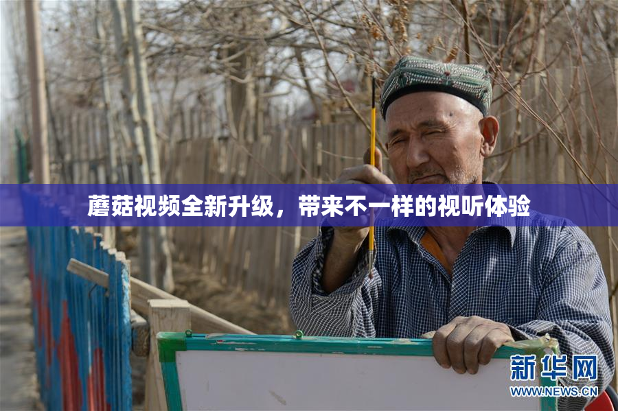 蘑菇视频全新升级，带来不一样的视听体验