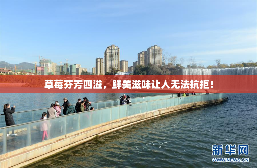 草莓芬芳四溢，鲜美滋味让人无法抗拒！