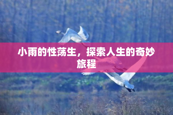 小雨的性荡生，探索人生的奇妙旅程