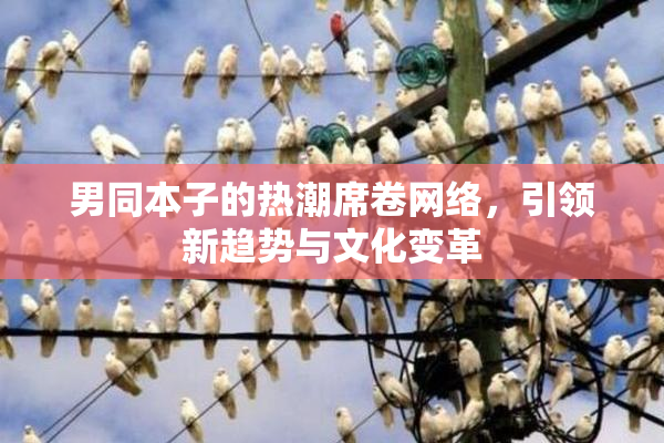 男同本子的热潮席卷网络，引领新趋势与文化变革