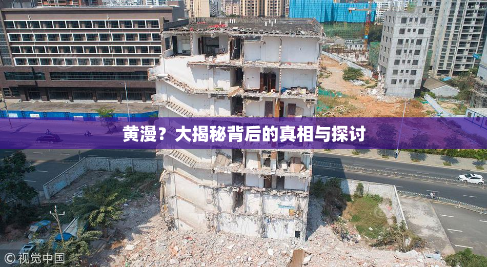 黄漫？大揭秘背后的真相与探讨