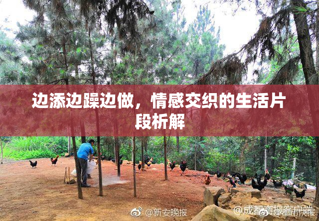 边添边躁边做，情感交织的生活片段析解
