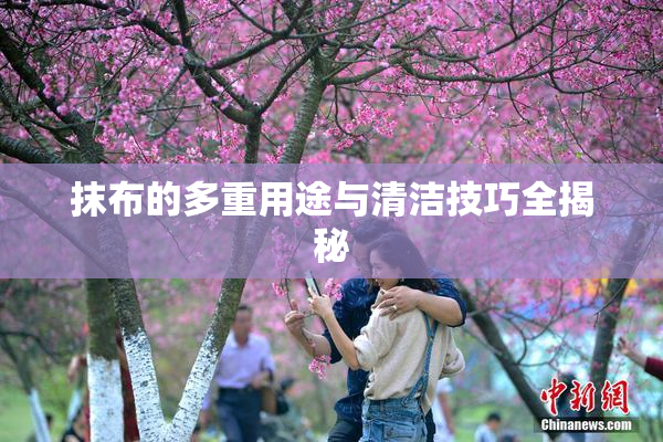 抹布的多重用途与清洁技巧全揭秘