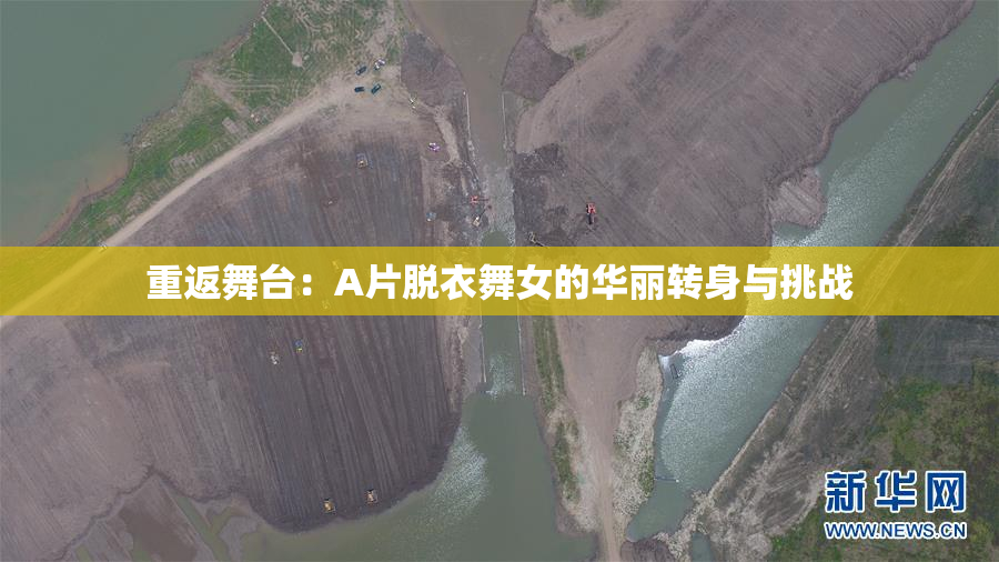 重返舞台：A片脱衣舞女的华丽转身与挑战