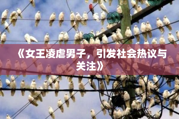 《女王凌虐男子，引发社会热议与关注》