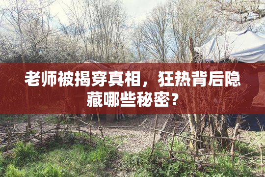 老师被揭穿真相，狂热背后隐藏哪些秘密？