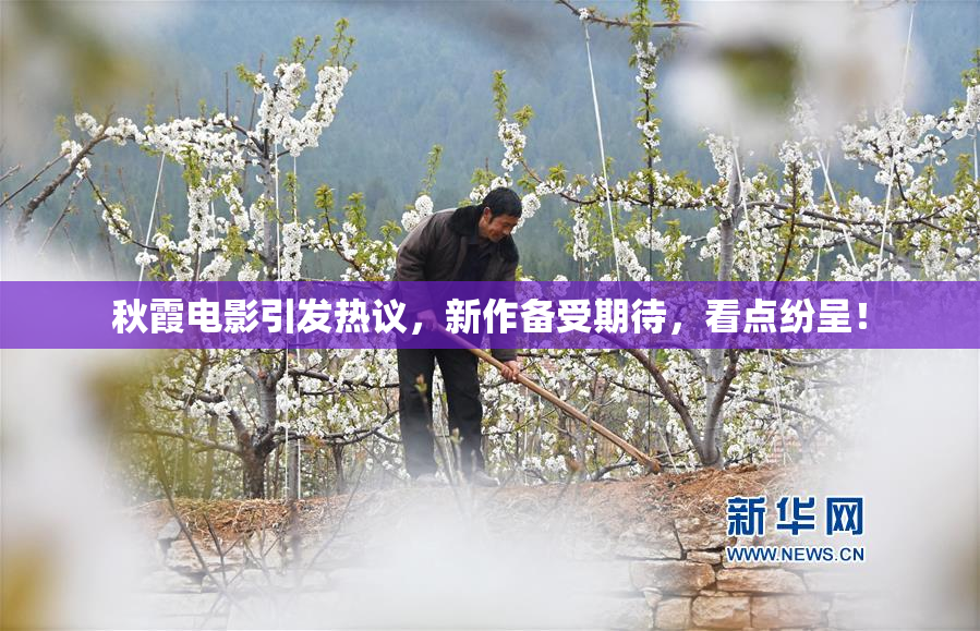 秋霞电影引发热议，新作备受期待，看点纷呈！