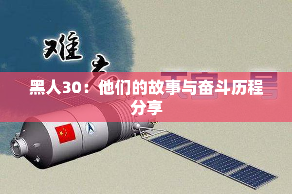 黑人30：他们的故事与奋斗历程分享