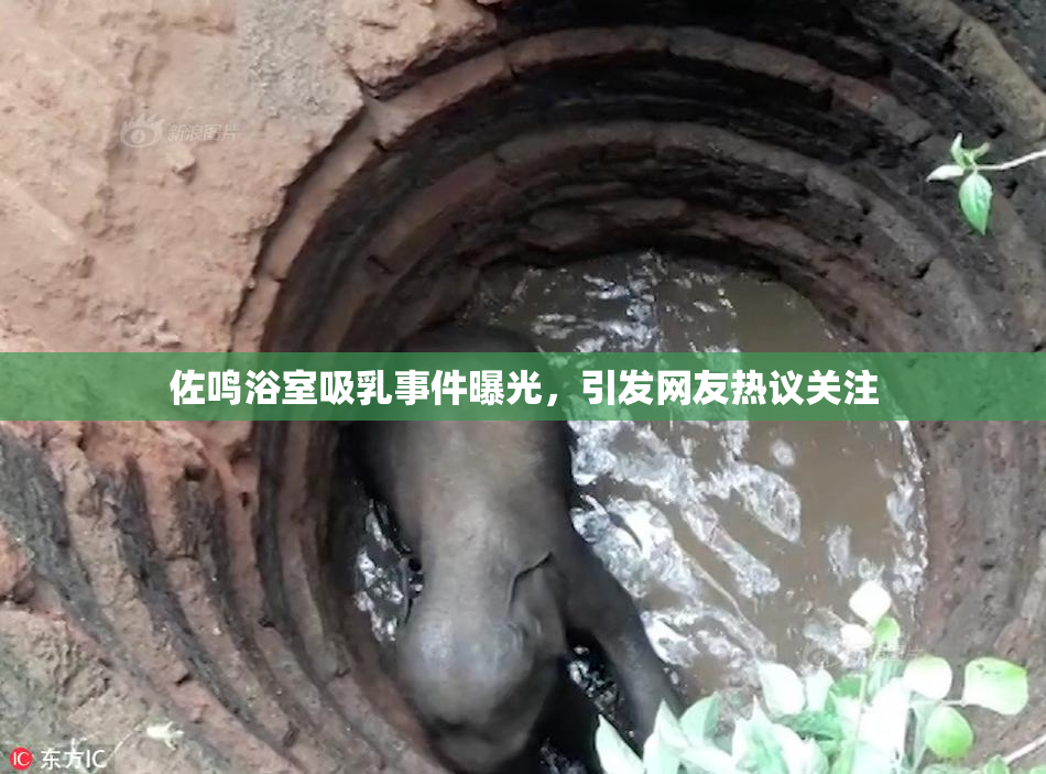 佐鸣浴室吸乳事件曝光，引发网友热议关注