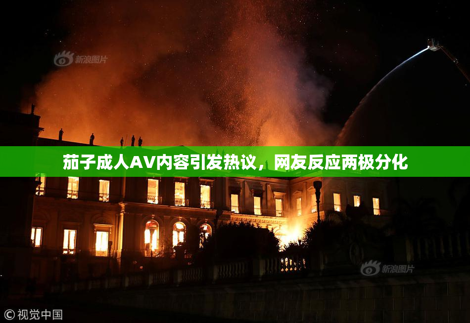 茄子成人AV内容引发热议，网友反应两极分化
