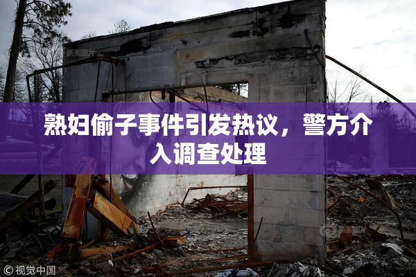 熟妇偷子事件引发热议，警方介入调查处理