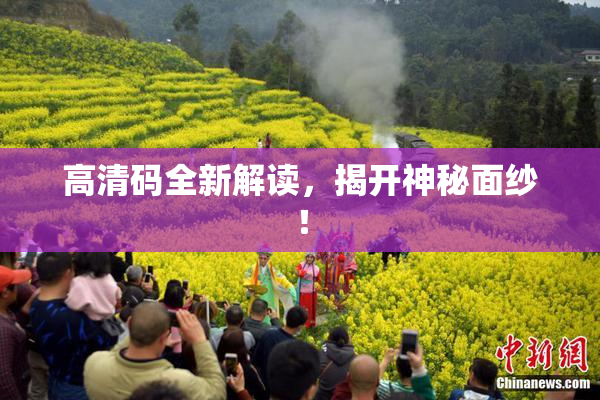 高清码全新解读，揭开神秘面纱！