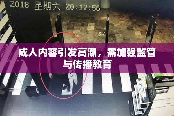 成人内容引发高潮，需加强监管与传播教育