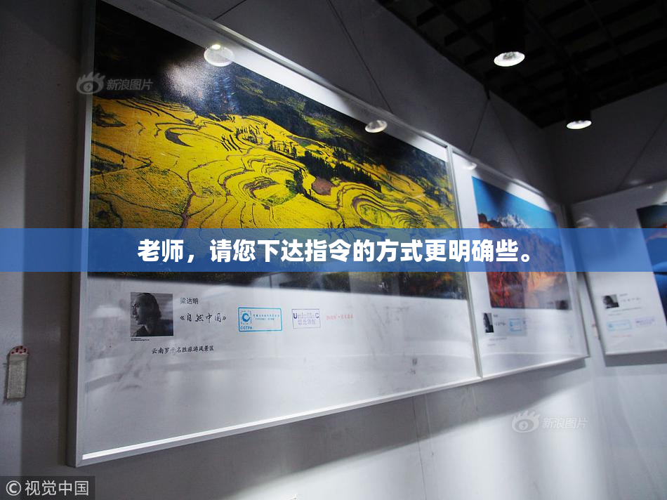 老师，请您下达指令的方式更明确些。