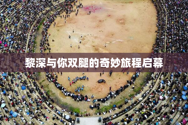 黎深与你双腿的奇妙旅程启幕