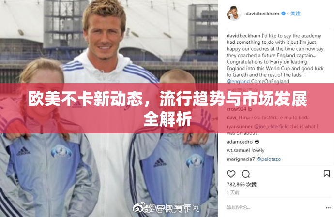 欧美不卡新动态，流行趋势与市场发展全解析