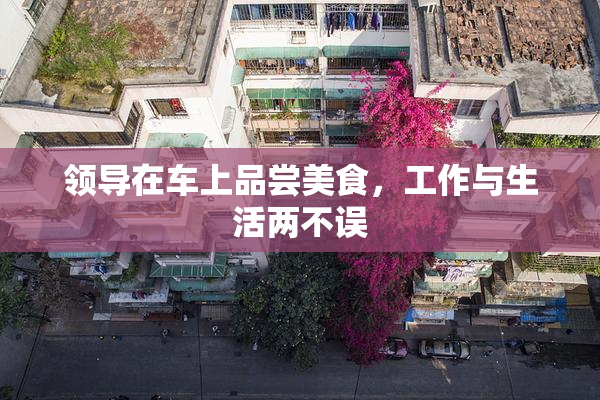 领导在车上品尝美食，工作与生活两不误