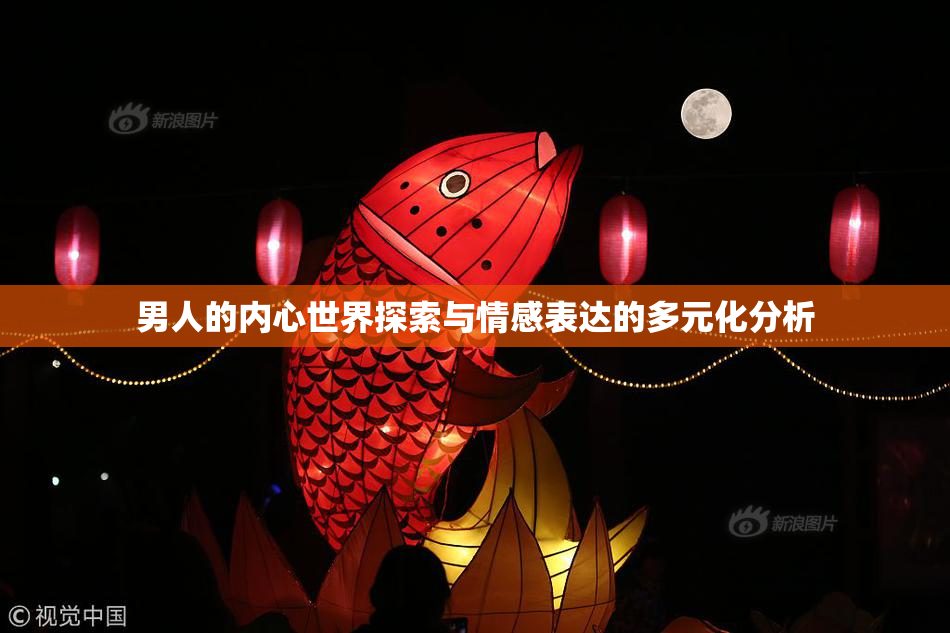 男人的内心世界探索与情感表达的多元化分析