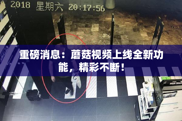 重磅消息：蘑菇视频上线全新功能，精彩不断！