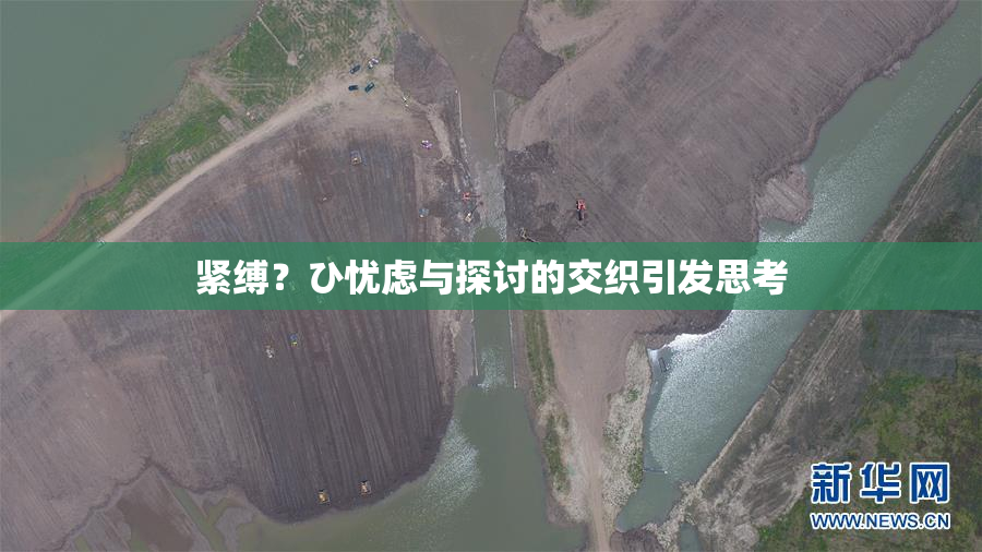 紧缚？ひ忧虑与探讨的交织引发思考