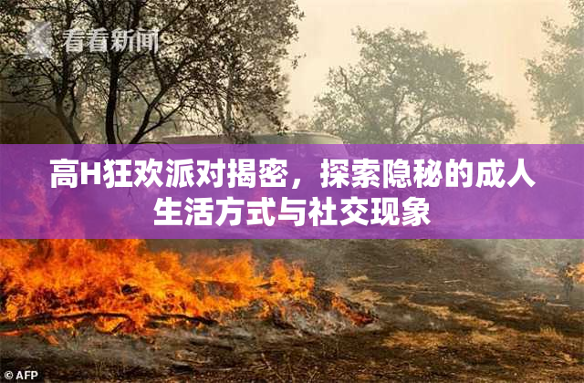 高H狂欢派对揭密，探索隐秘的成人生活方式与社交现象