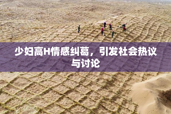 少妇高H情感纠葛，引发社会热议与讨论
