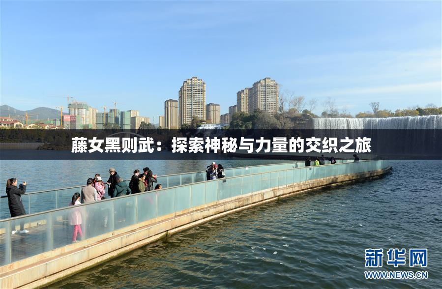 藤女黑则武：探索神秘与力量的交织之旅