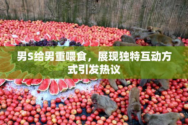 男S给男重喂食，展现独特互动方式引发热议