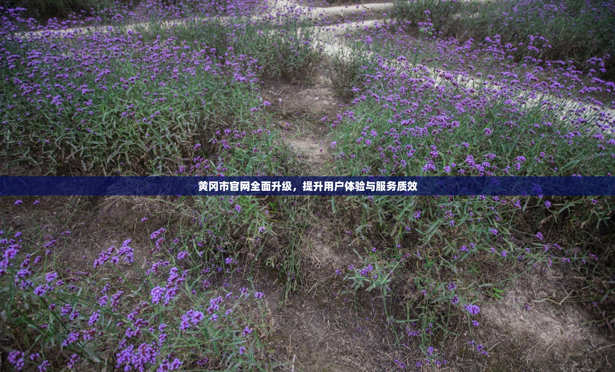 黄冈市官网全面升级，提升用户体验与服务质效