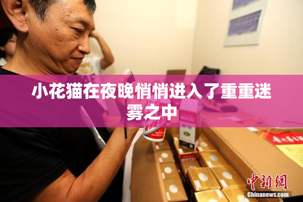 小花猫在夜晚悄悄进入了重重迷雾之中