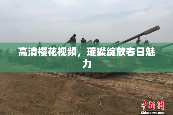 高清樱花视频，璀璨绽放春日魅力
