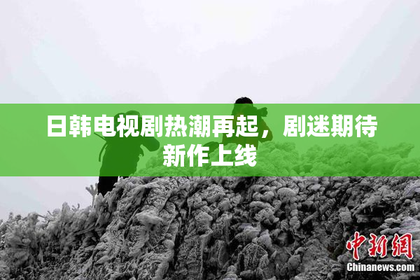 日韩电视剧热潮再起，剧迷期待新作上线