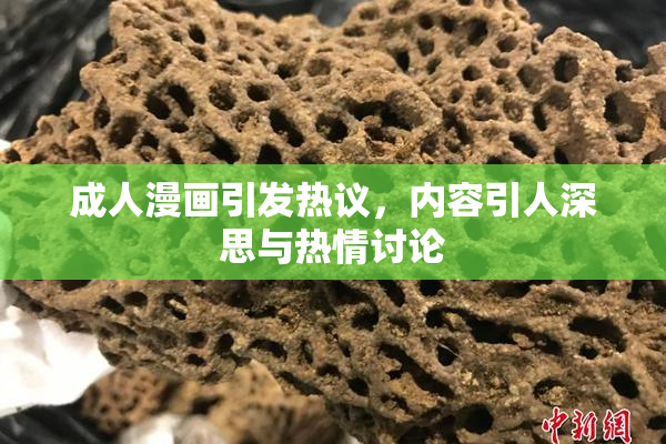 成人漫画引发热议，内容引人深思与热情讨论