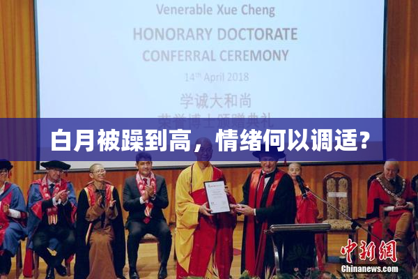 白月被躁到高，情绪何以调适？