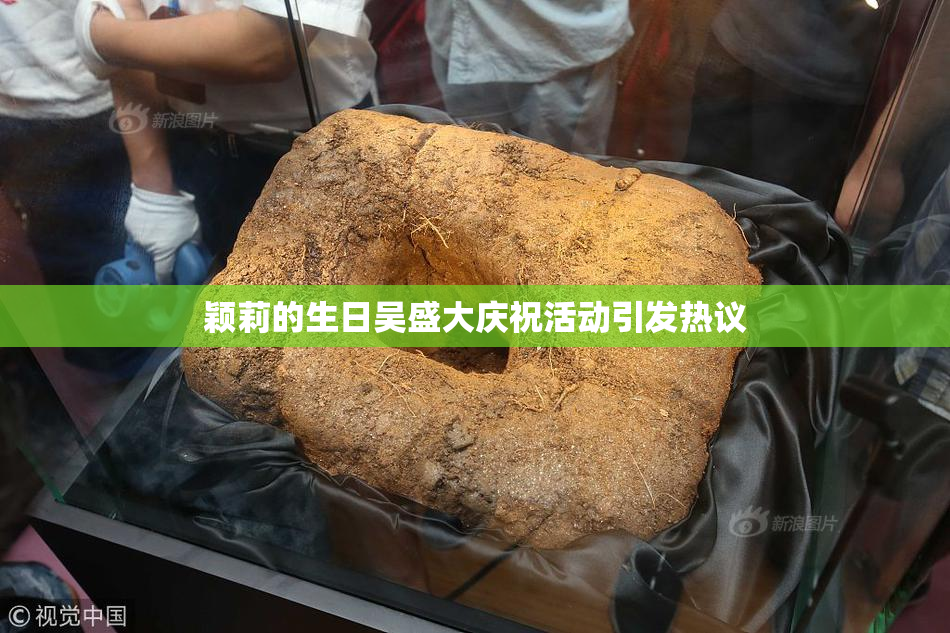 颖莉的生日吴盛大庆祝活动引发热议