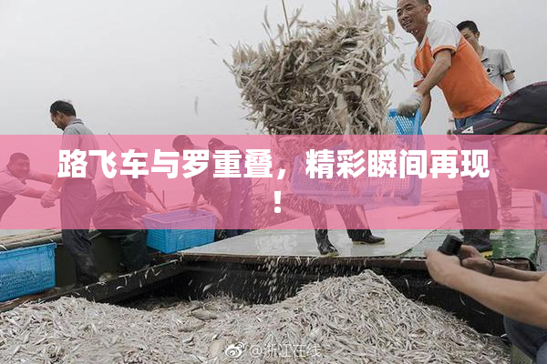 路飞车与罗重叠，精彩瞬间再现！